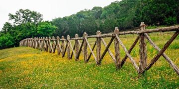 From Texas to Tel Aviv, invitations go out to Jews fleeing ‘Mamdani’s New York’ – Jewish Telegraphic Agency