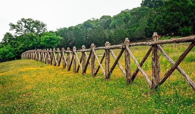 From Texas to Tel Aviv, invitations go out to Jews fleeing ‘Mamdani’s New York’ – Jewish Telegraphic Agency