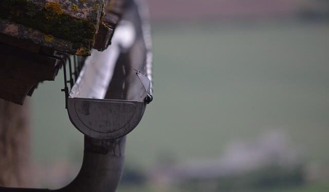 What Is It Like to Eat at CieL, a One-MICHELIN-Star Restaurant in Ho Chi Minh City? The Inspectors Reveal All – MICHELIN Guide