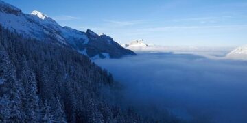 Volaris launches Miami-Monterrey service – Miami International Airport