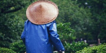 Yarde challenges Benavidez for light-heavy title in Riyadh and Norman Jr faces Haney | Hindustan Times – Hindustan Times