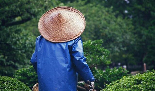 Yarde challenges Benavidez for light-heavy title in Riyadh and Norman Jr faces Haney | Hindustan Times – Hindustan Times