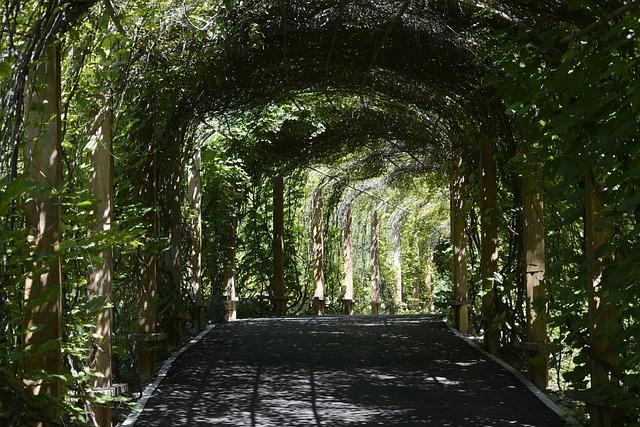 Shenyang Robot Conference 2025 kicks off in China’s Liaoning – Xinhua