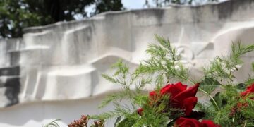 Grey Wolves fascists attack leftist students at a university in Ankara, Turkey – World Socialist Web Site