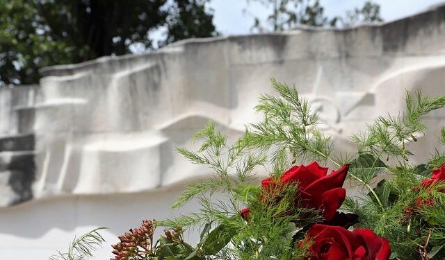 Grey Wolves fascists attack leftist students at a university in Ankara, Turkey – World Socialist Web Site