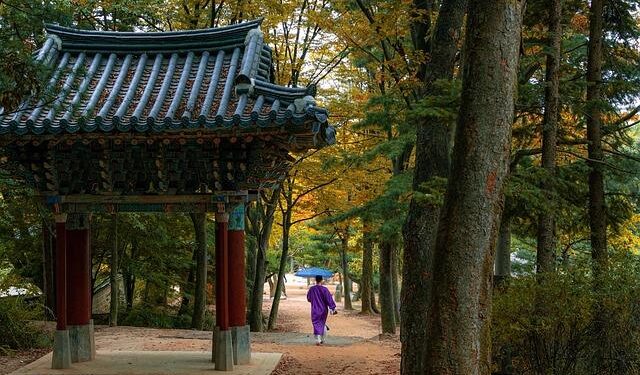 South Korean Fuel Prices Rise for Fourth Consecutive Week – 조선일보