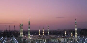 Iqbal Mohamed becomes second MP to leave Your Party – Middle East Eye