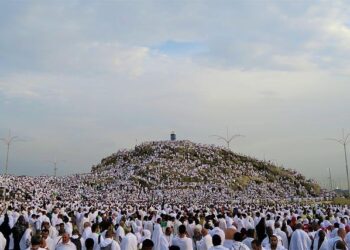 Algeria president says plotters targeted PLO’s Arafat in Algiers – The New Arab