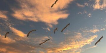 Fears over migration and crime push Chile’s presidential race to the right – AP News