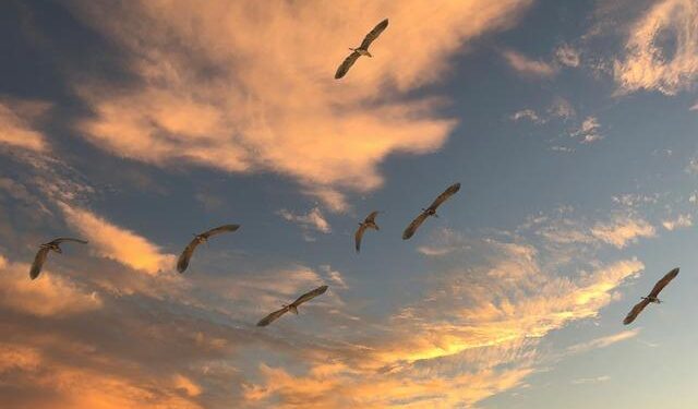 Fears over migration and crime push Chile’s presidential race to the right – AP News