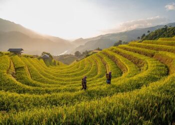 Cops attacked with chilli spray at Delhi protest: Police submit evidence to court – India Today