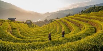 Cops attacked with chilli spray at Delhi protest: Police submit evidence to court – India Today