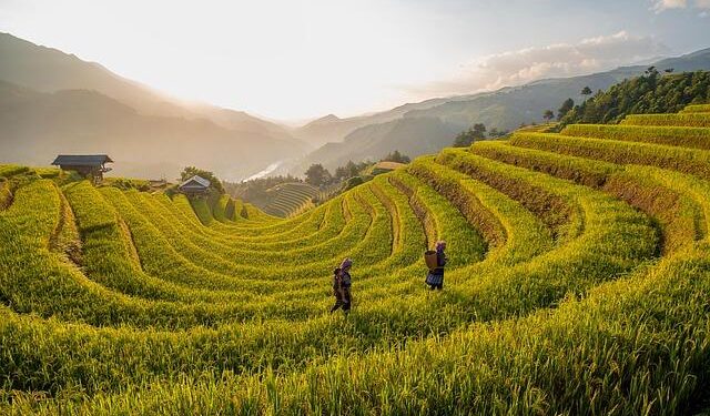 Cops attacked with chilli spray at Delhi protest: Police submit evidence to court – India Today