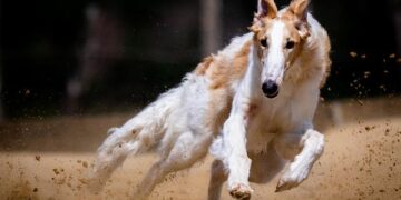 JPMorgan Chase (JPM) Stock: Surges Amid Bold $13B UK Expansion and Landmark London Tower Plans – CoinCentral