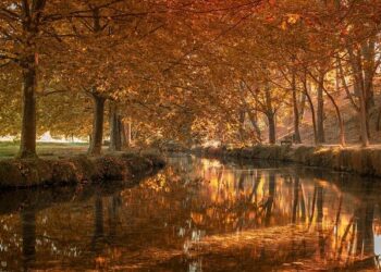 10-Day Weather Forecast for La Vila de Gràcia, Gràcia, Barcelona, Spain – The Weather Channel | weather.com – The Weather Channel