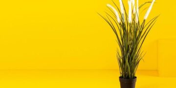 PM Modi, Putin among 20 leaders to attend SCO summit in Tianjin: China – The Economic Times