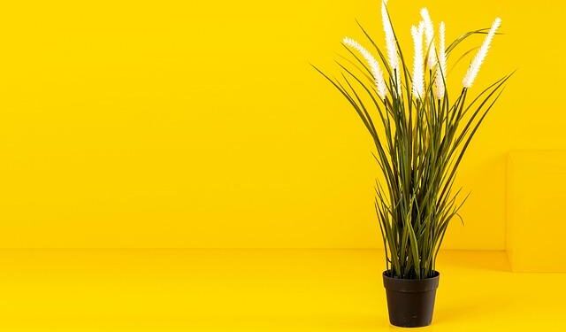 PM Modi, Putin among 20 leaders to attend SCO summit in Tianjin: China – The Economic Times