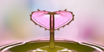 Nexperia crisis: how US-China tensions disrupt a global chip supply chain – South China Morning Post