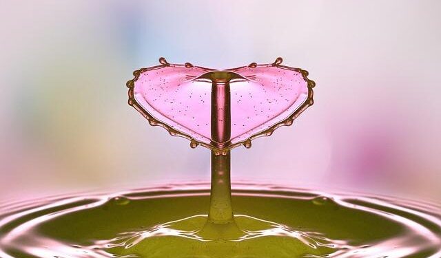 Nexperia crisis: how US-China tensions disrupt a global chip supply chain – South China Morning Post