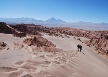 Former Peruvian President Pedro Castillo sentenced for conspiracy – the-messenger.com