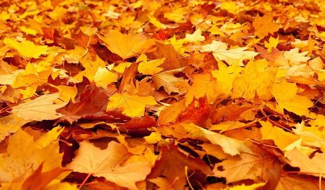 FCT Ground Rent: Wike revokes over 1,000 property titles in Abuja – Peoples Gazette Nigeria