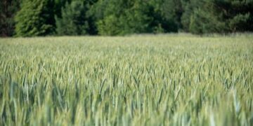 Ian Thorpe sells Sydney apartment – realestate.com.au