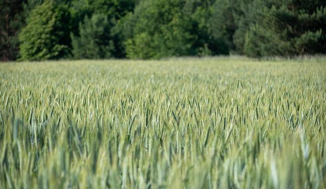 Ian Thorpe sells Sydney apartment – realestate.com.au