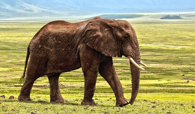 Pakistan boosts defence budget by 20% but slashes overall spending in 2025-26 – Reuters