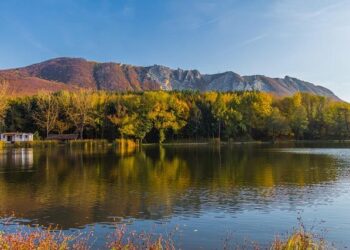 Louis Dreyfus Company Breaks Ground on New Food Technology Park in Dongjiakou, China – Louis Dreyfus Company