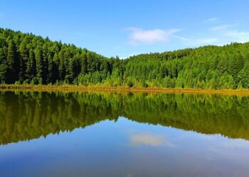 Miguel Uribe, leader of Colombia’s far-right opposition, shot in Bogota – Colombia Reports