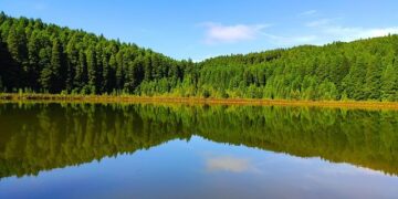 Miguel Uribe, leader of Colombia’s far-right opposition, shot in Bogota – Colombia Reports