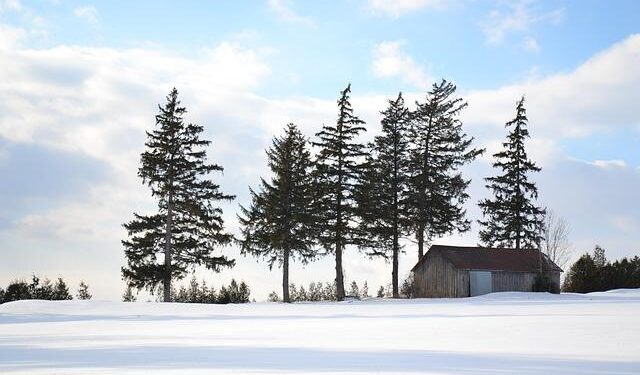 Air Canada to Launch New Berlin–Montréal Route in 2026 – Travel Wires