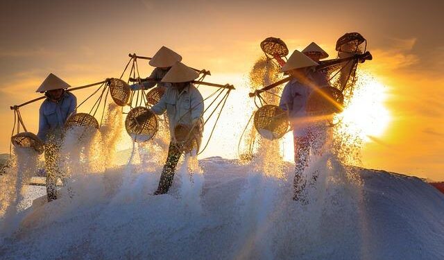 The most dangerous province in South Africa – newsday.co.za