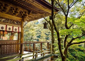 Japanese Singers’ Shanghai Performances Abruptly Canceled – 조선일보