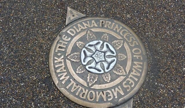 Diana Shnaider thrilled to play in St. Petersburg exho: Signed up without hesitation – Tennis World USA