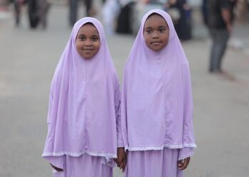 Global mobilisation for Palestine: Thunberg and Albanese march in Rome – Euronews.com