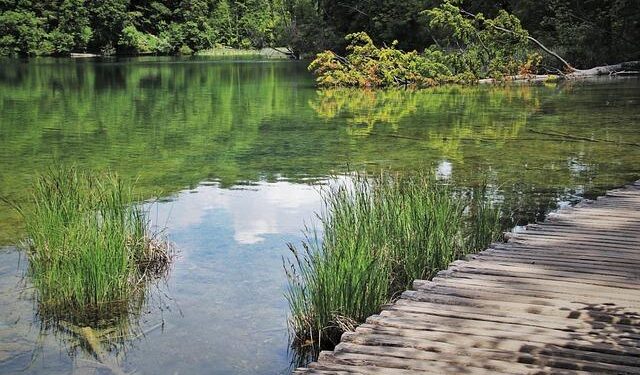 Waterlogged roads and potholes throw normalcy out of gear – Times of India