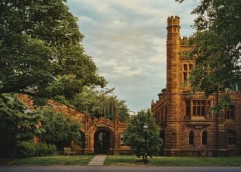 Grassroots leagues revive China’s soccer dream – Reuters