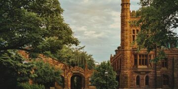 Grassroots leagues revive China’s soccer dream – Reuters