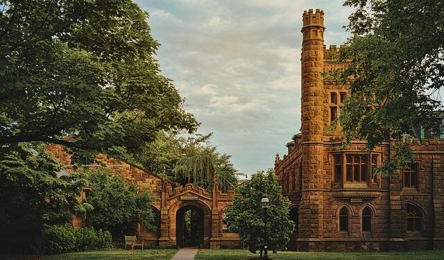 Grassroots leagues revive China’s soccer dream – Reuters