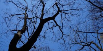 DeepSeek’s Hometown Emerges as Center of China’s AI Universe – Bloomberg.com