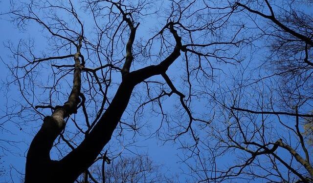 DeepSeek’s Hometown Emerges as Center of China’s AI Universe – Bloomberg.com