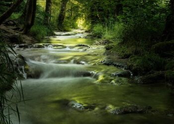 IOC Honorary President for Life Bach explores Foshan’s culture and sports – Guangdong News