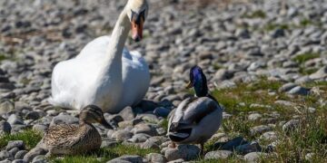 World Computing Conference kicks off in Changsha – China Daily