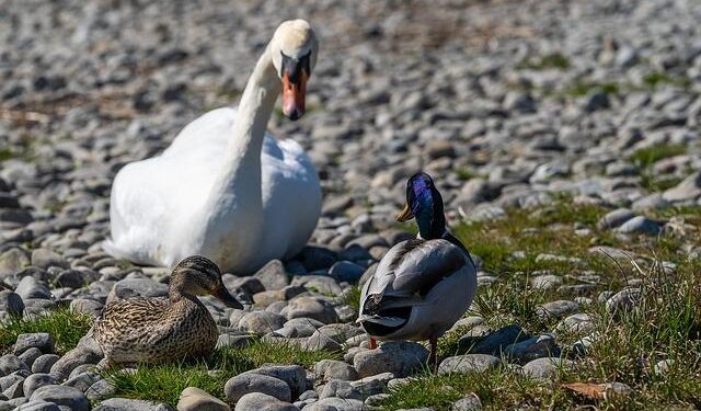 World Computing Conference kicks off in Changsha – China Daily