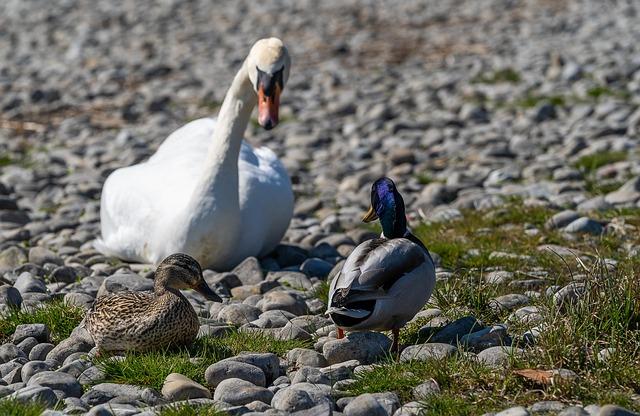 World Computing Conference kicks off in Changsha – China Daily