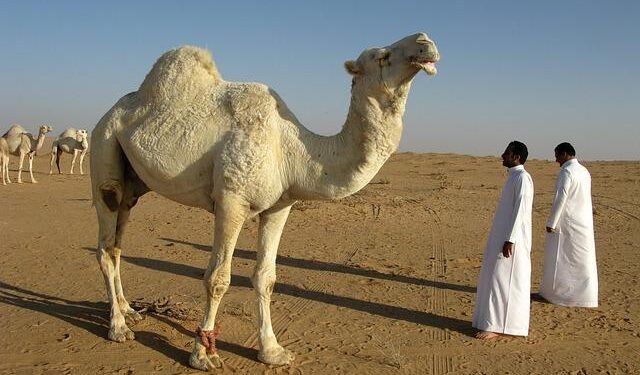 Background Note: Saudi Arabia – 2001-2009.state.gov