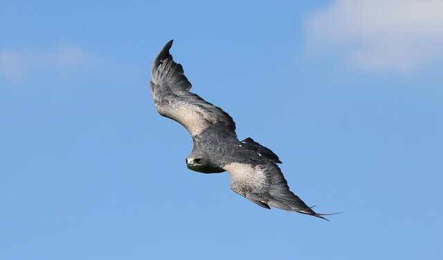 No TikTok, no Instagram: Chilean school blocks phones and students rediscover real-world connections – AP News