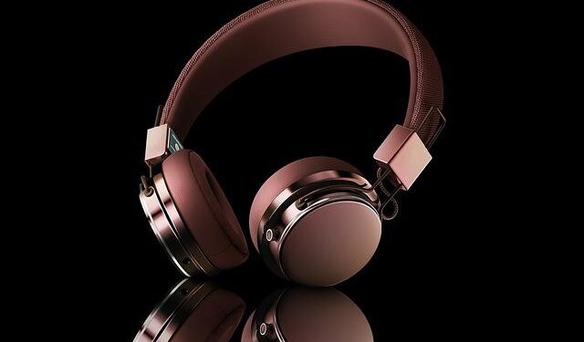 LILLEY: NDP MP shows radical side opposing sale of Canadian vehicles to ICE – Toronto Sun