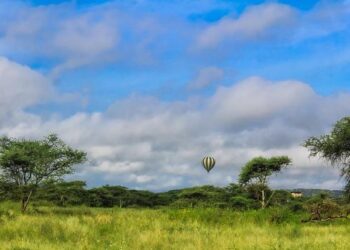 Air Tanzania to Launch Dar es Salaam-Cape Town Service – AirlineGeeks.com